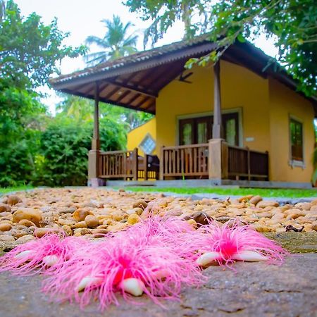 Birds Paradise Cabanas 우나와투나 외부 사진