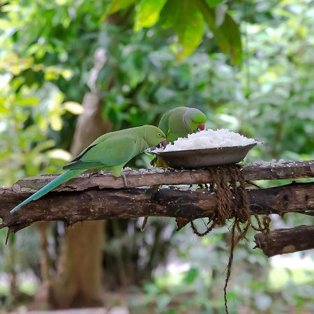 Birds Paradise Cabanas 우나와투나 외부 사진