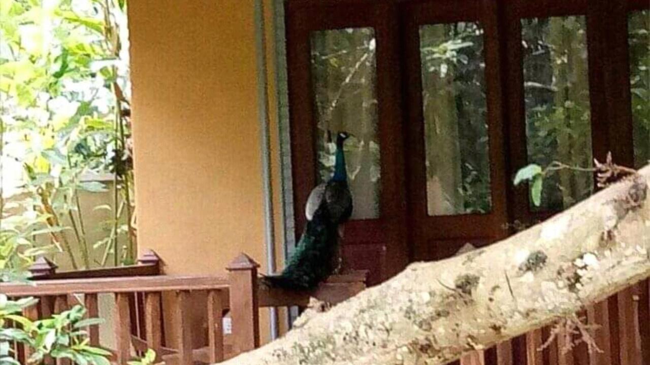 Birds Paradise Cabanas 우나와투나 외부 사진