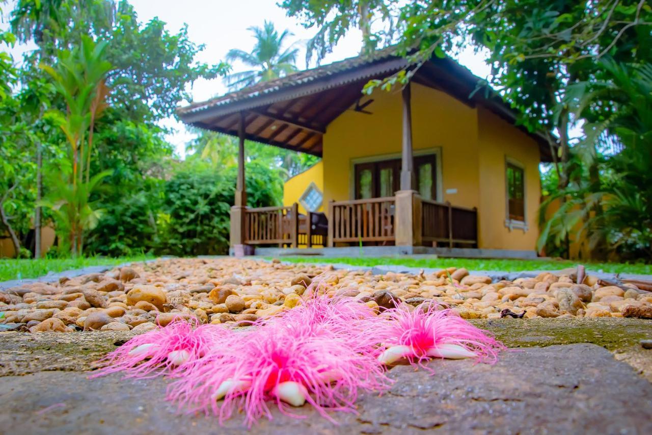 Birds Paradise Cabanas 우나와투나 외부 사진