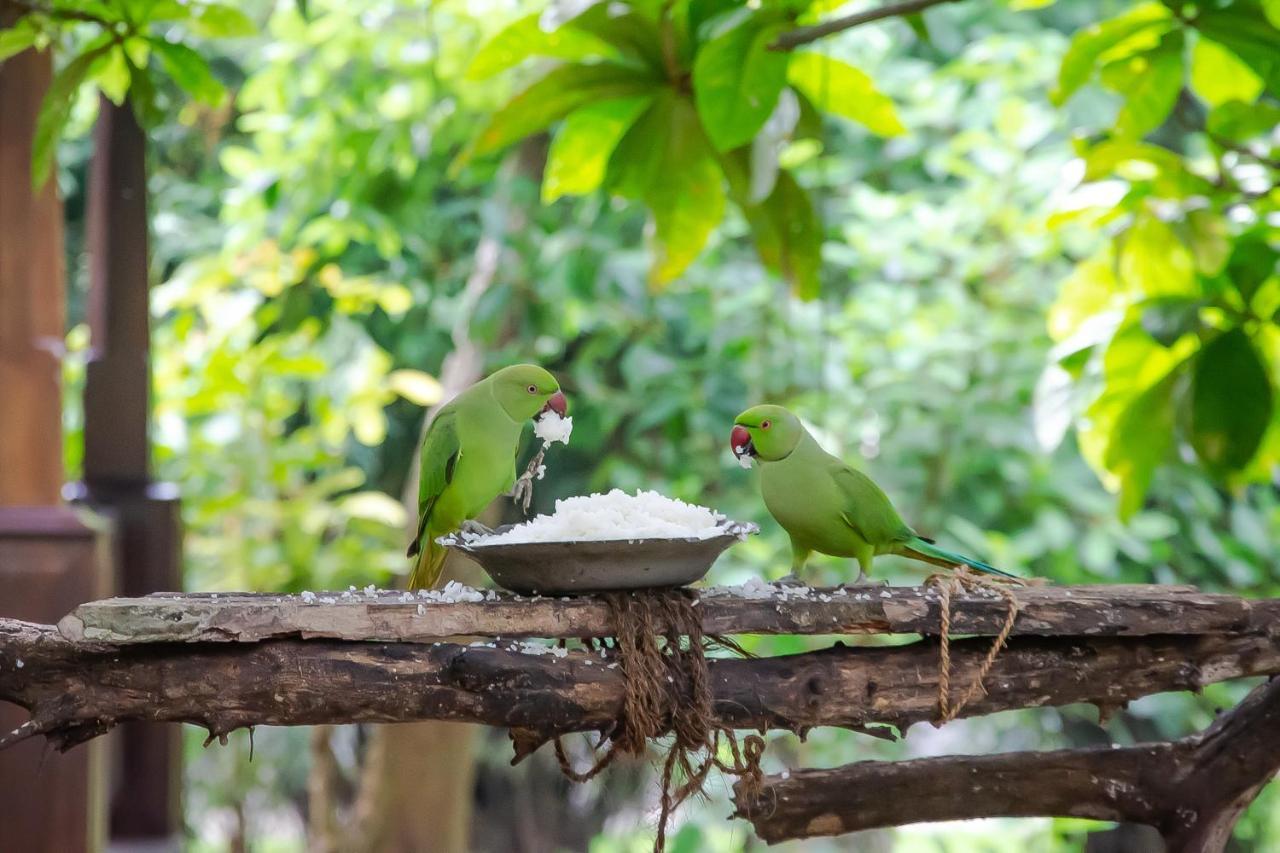 Birds Paradise Cabanas 우나와투나 외부 사진
